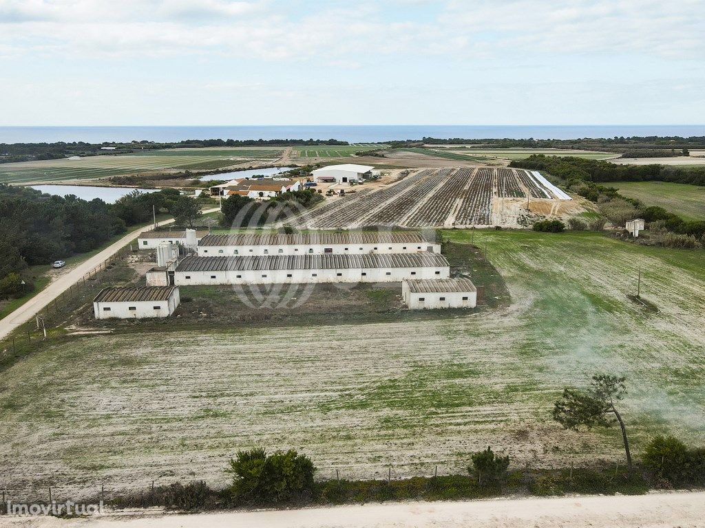 Herdade em Odeceixe, Aljezur, Algarve