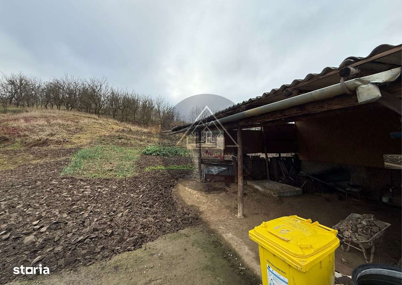 Casa 3 camere, Medias-18