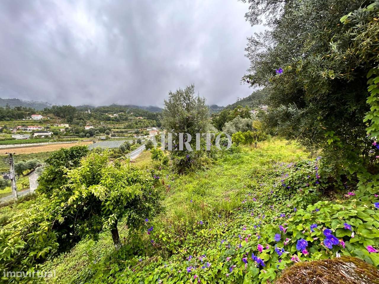 Terreno para construção em Goães – Amares - Grande imagem: 4/4