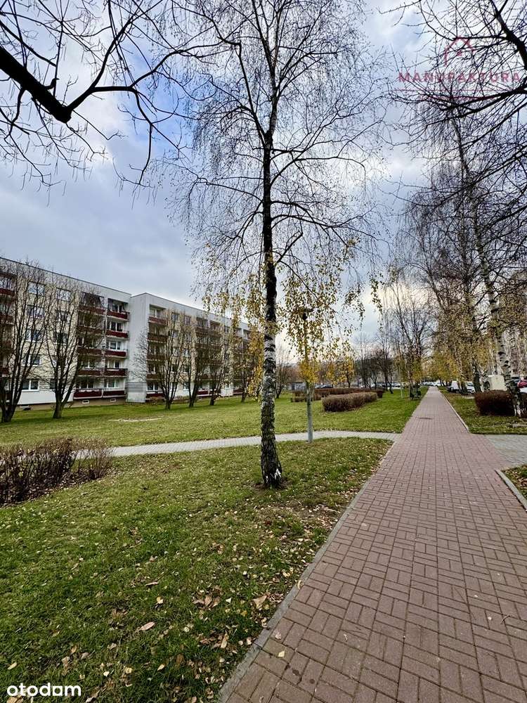 M3 po remoncie | Blisko Lasku Aniołowskiego-15