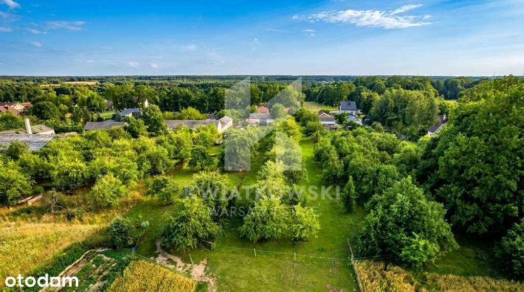Działka 7200 m² z domem/ sadem,potencjał inwestycy-9