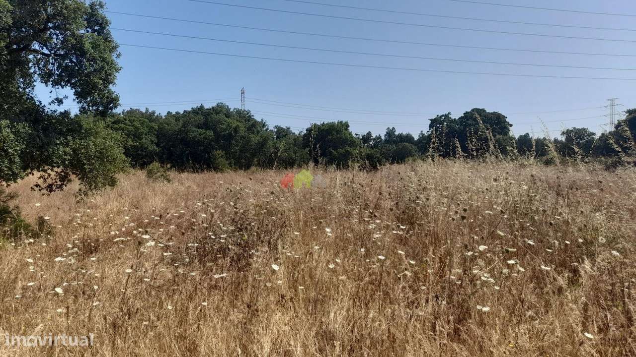 Terreno rústico com 9.200m2 em Palmela - Grande imagem: 4/6