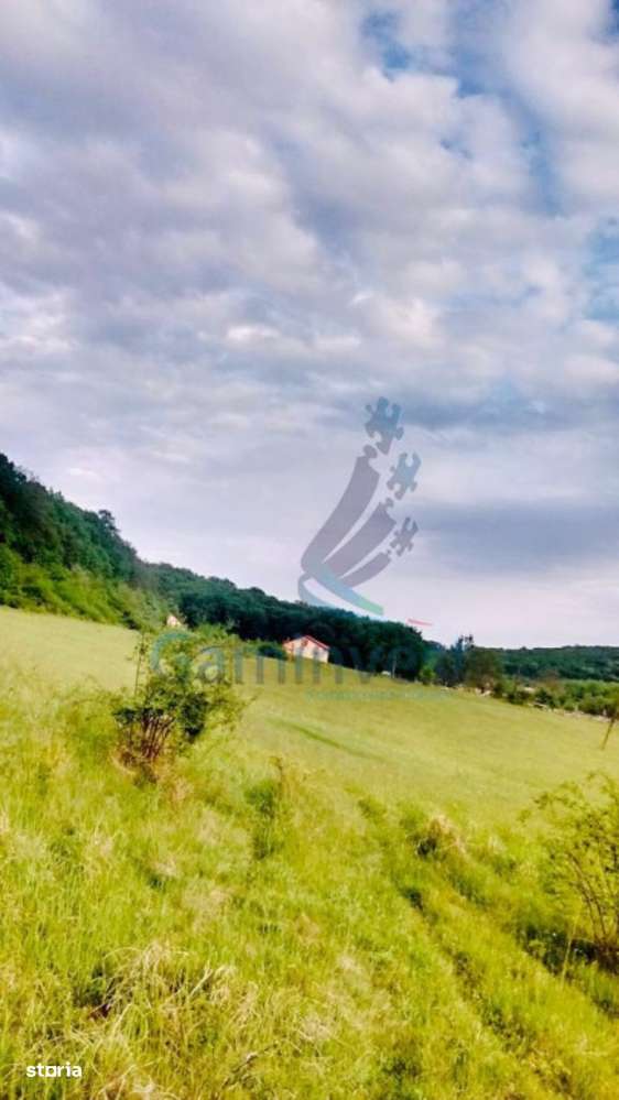 Gaminvest Teren de vanzare, la iesirea din Baile Felix, Bihor,V2897 - Imagine principală: 3/4
