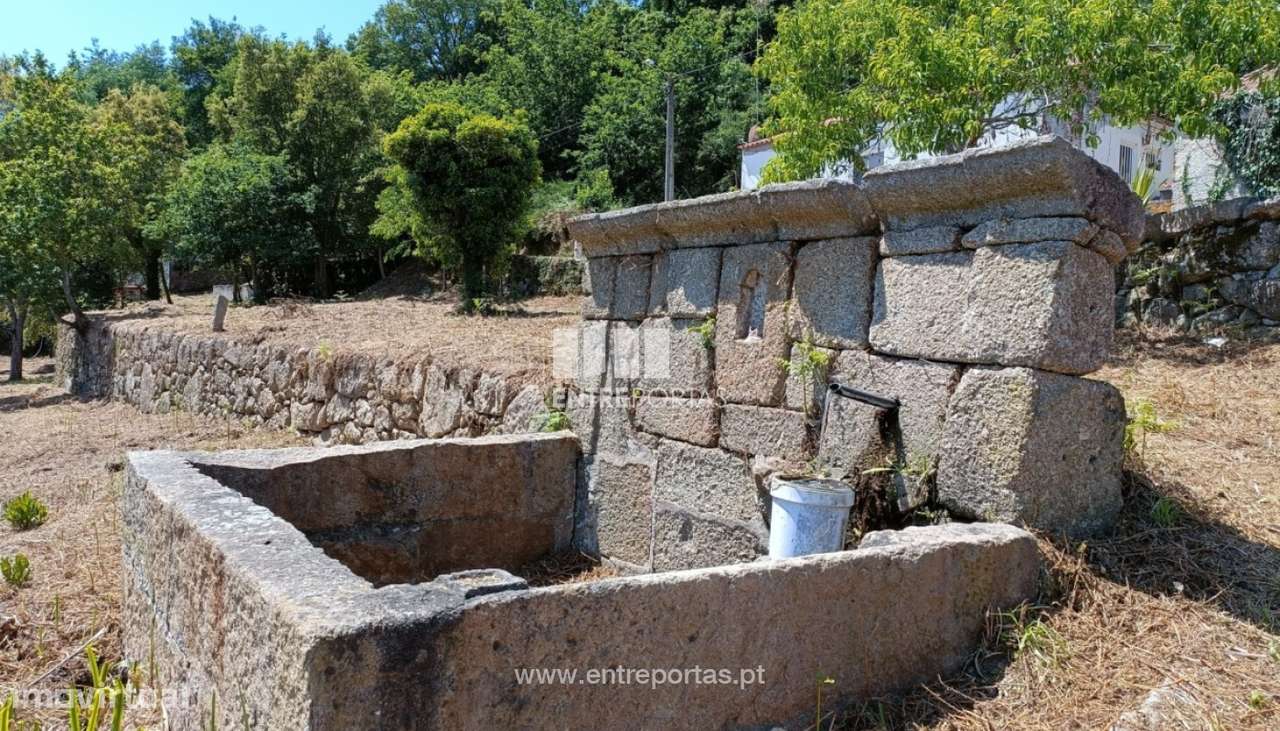 Venda Excelente Quinta com Moradia para reconstruir, Várzea do Douro, - Grande imagem: 4/27