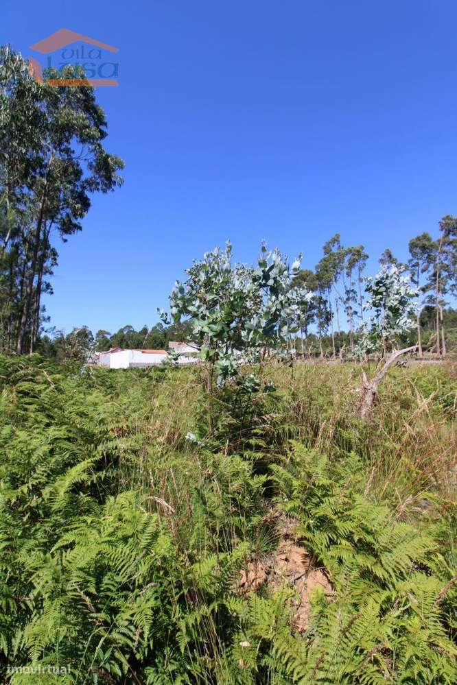 Terreno Industrial com 5.368 m2 para a construção de armazém - Grande imagem: 5/10