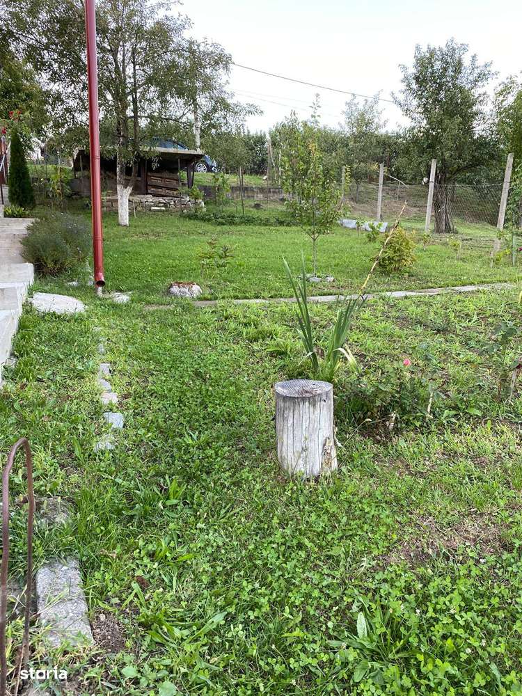 Casă de vânzare în sat Mica, jud. Mureș-9