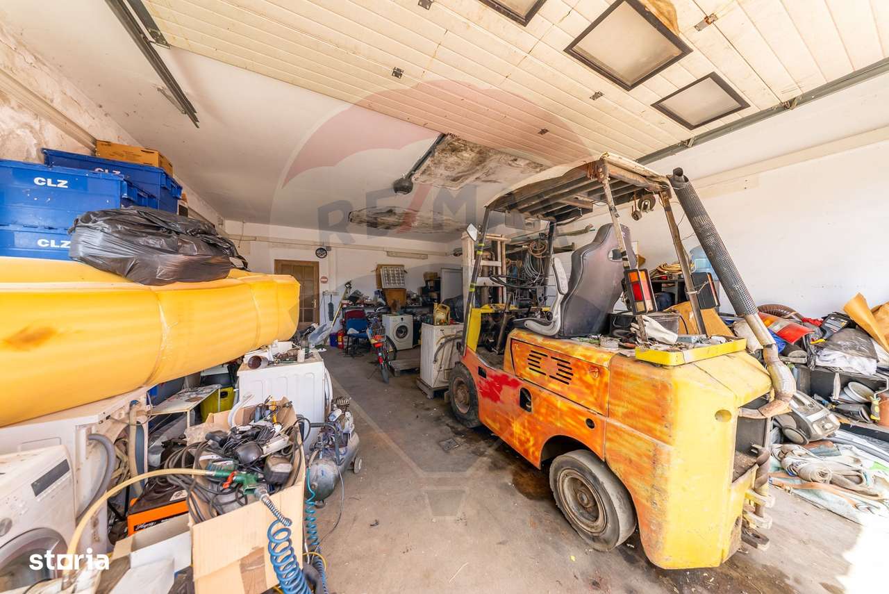 Spațiu industrial cu potential de vanzare in Paulis,Arad - Imagine principală: 5/20