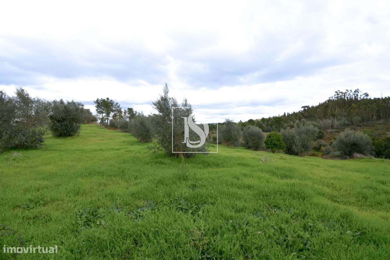 Terreno Urbano Linhaceira Tomar-3