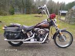 Harley-Davidson Softail - 1