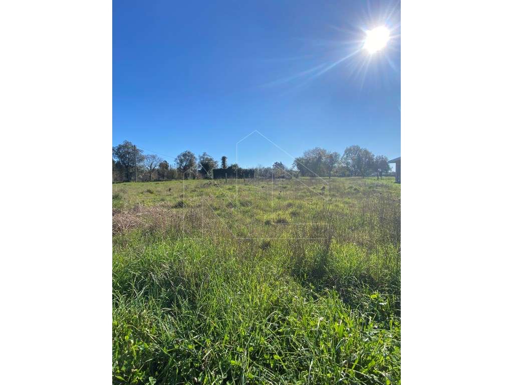 Terreno para Construção - Grande imagem: 4/7