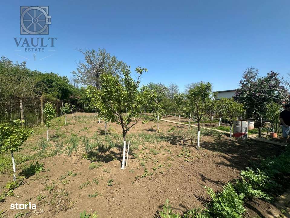 Casa -  Mogosoaia - Individuala - - Imagine principală: 3/19