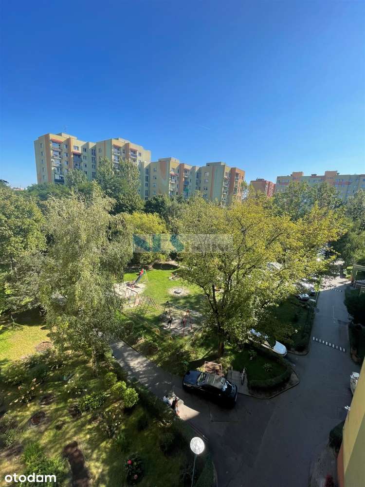 Pełen rozkład, tramwaj!-13