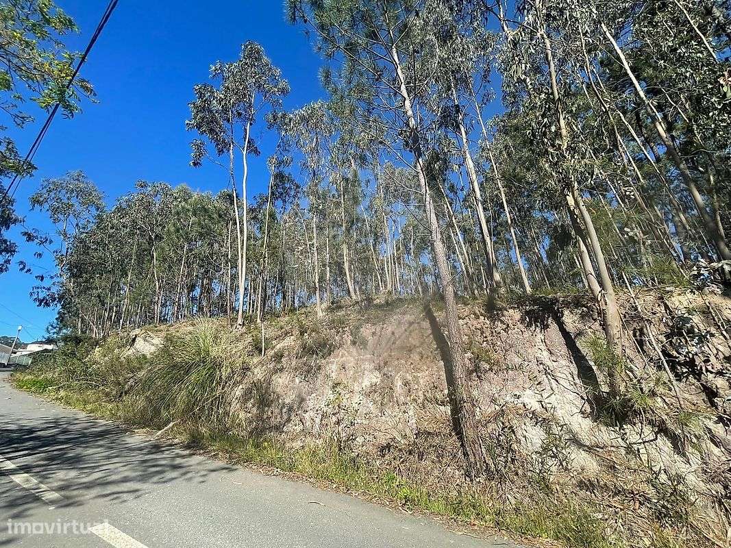Terreno  para venda - Grande imagem: 2/8