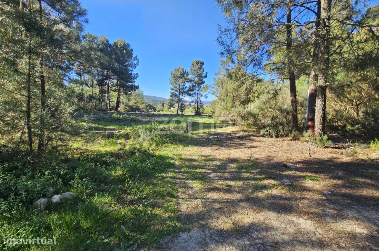 Terreno, 2 800 m², Fiolhoso - Grande imagem: 2/3