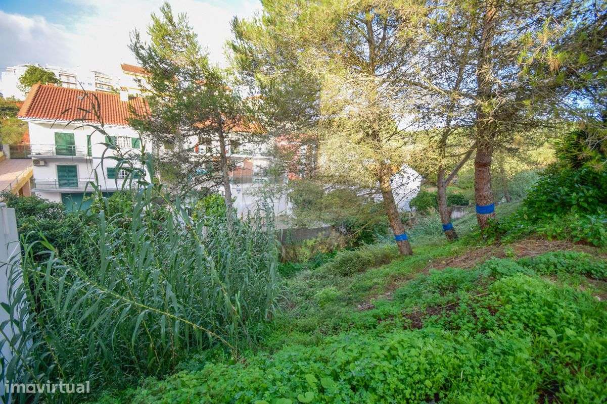 Terreno  para venda - Grande imagem: 2/3