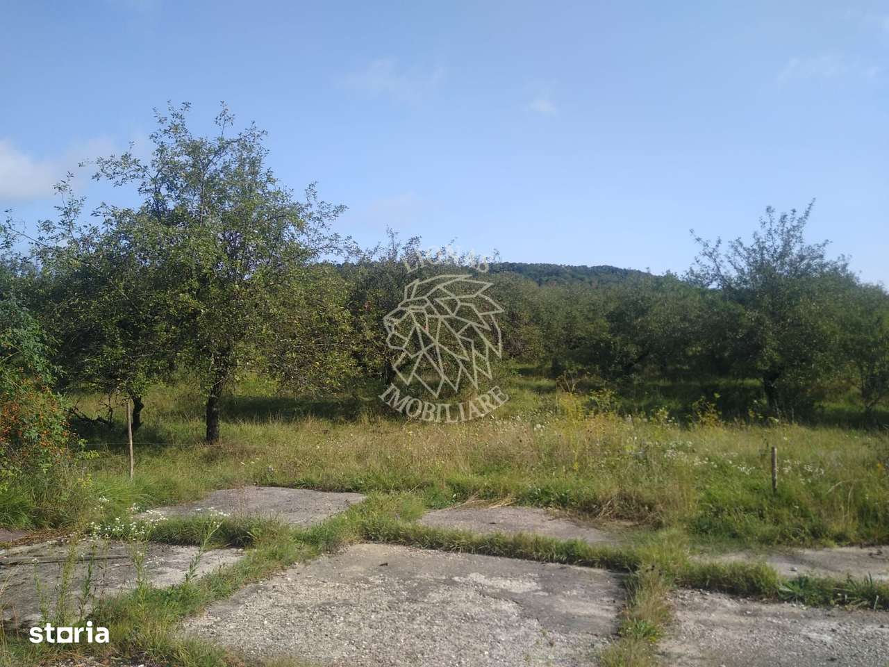 Teren 1500 mp - pretabil cabana/investitie - Zona Valea Rusului - Imagine principală: 4/4