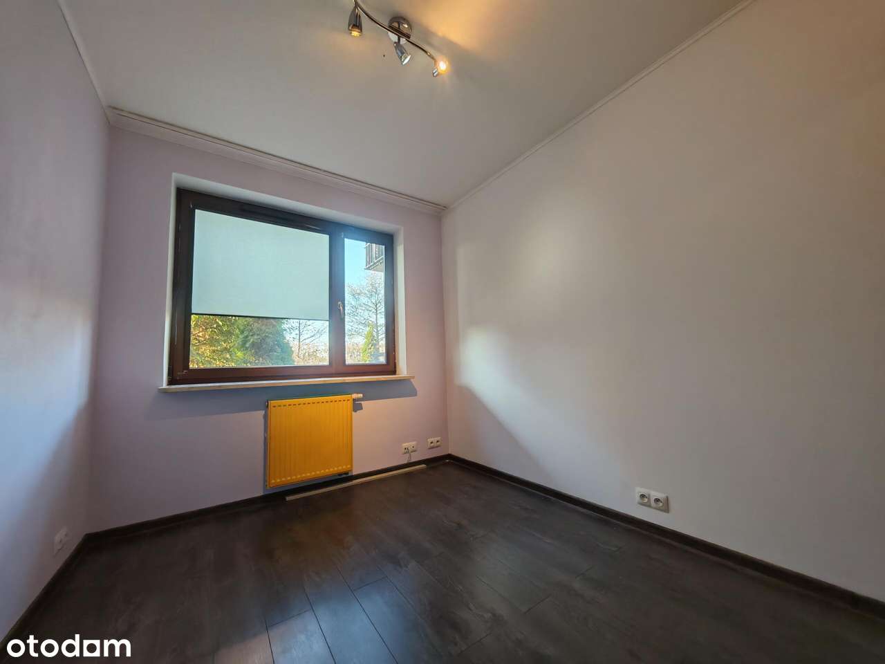 Dostępne od ręki , z dwoma ogrodami-8