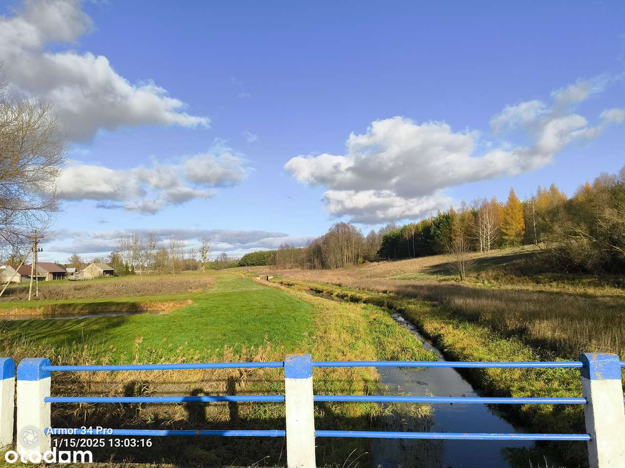 Działka z linią RZEKI Orla z WZ w Puszczy Białowieskiej, Pełne media-19