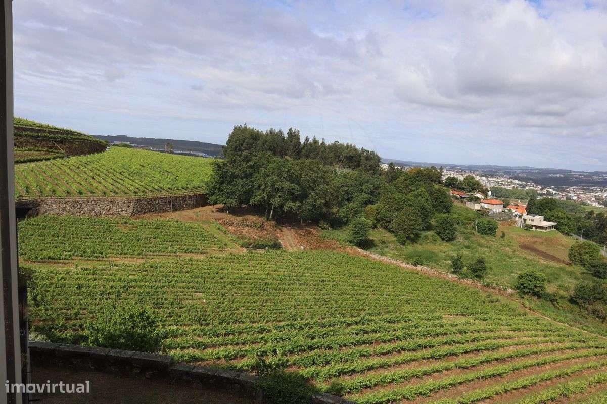 Quinta T7 para venda-26