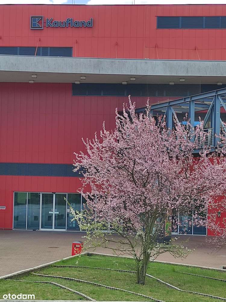 Jabłońskiego 22 Dostępny również garaż w tym samym budynku. - Widok 4