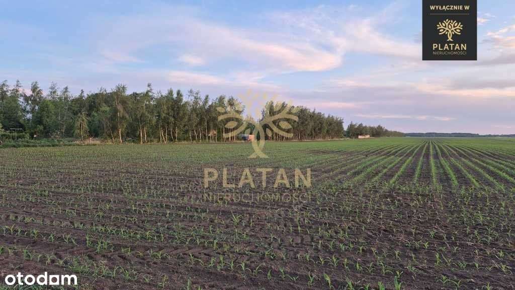 Radzewo, działki z wydanym pozwoleniem na budowę!-10