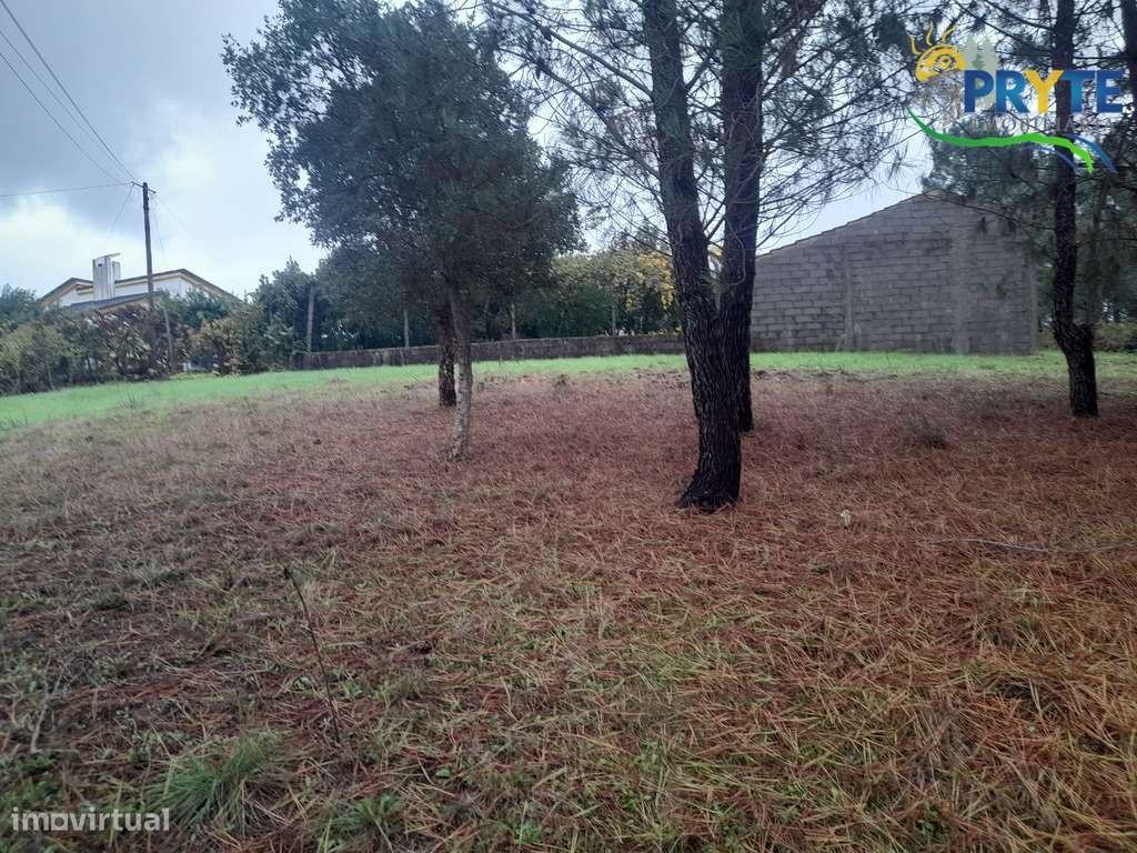 Moradia de tipologia T2 situada a 5 minutos da Vila da Sertã-35