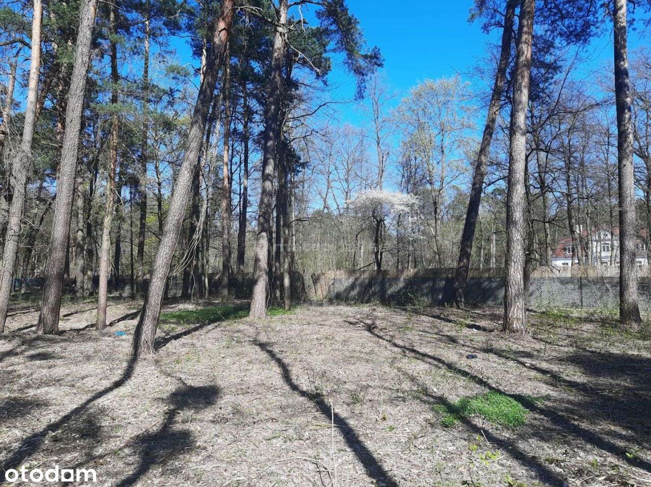 Działka budowlana w Strefie A - Pełny obrazek: 4/13