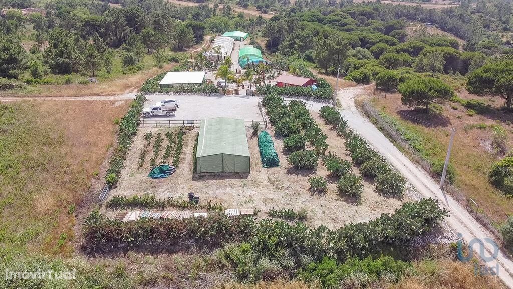 Terreno em Setúbal de 8000,00 m2