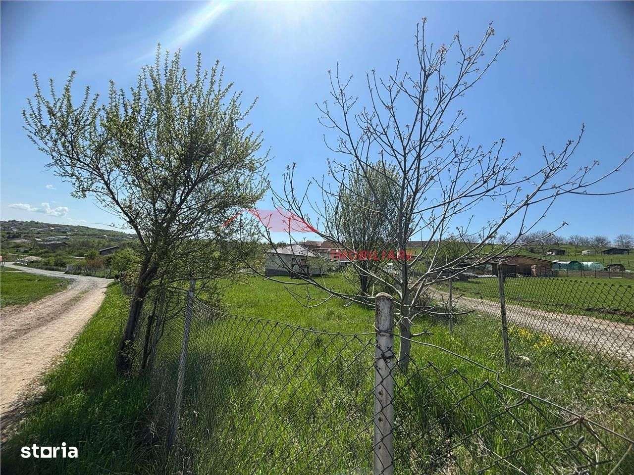 Teren 10 ari intravilan, Sigmir - Imagine principală: 2/3