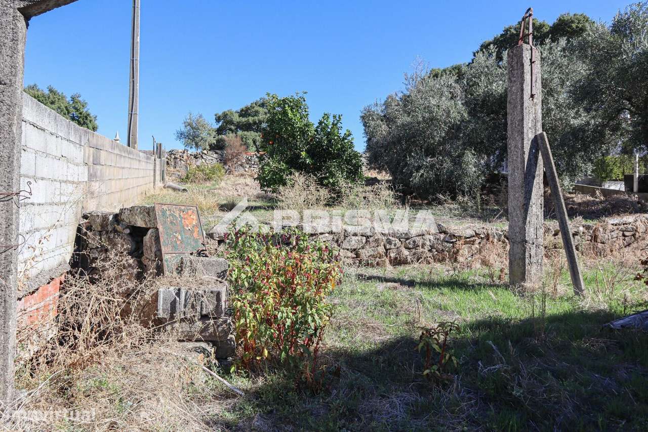 Terreno para venda em Alcains-13