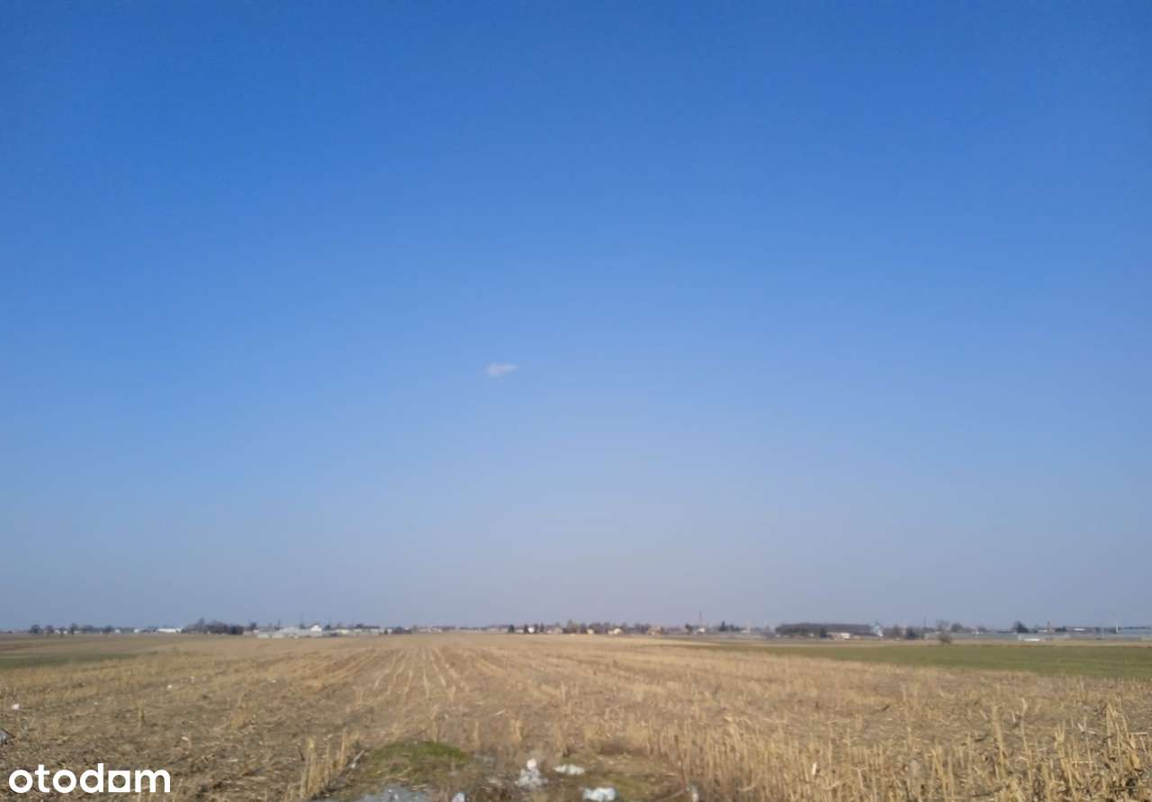 Grunt rolny 2,07 ha, Kolonia Skarszewek, gm. Żelazków,4 km od Kalisza-0