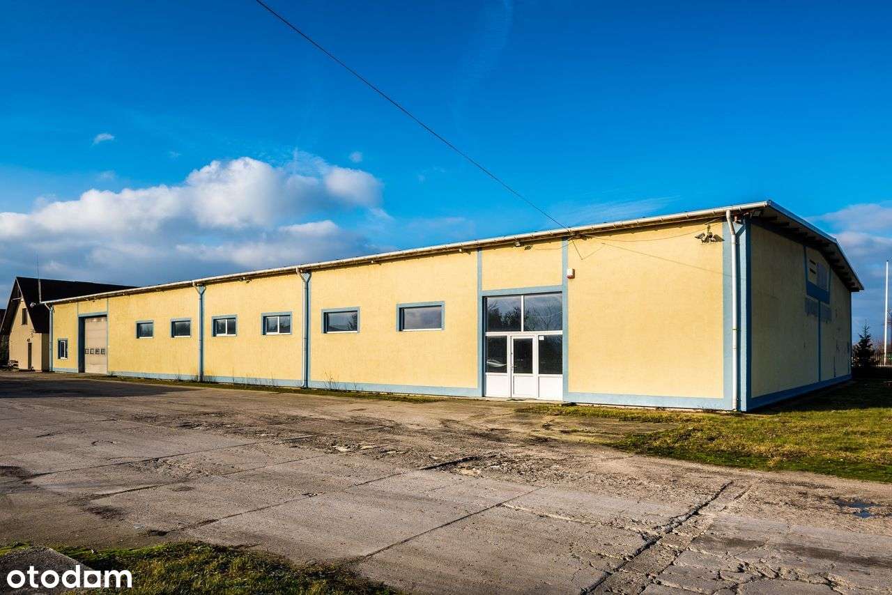 Hala magazynowa na wynajem Klewków k. Łowicza - Pełny obrazek: 5/7