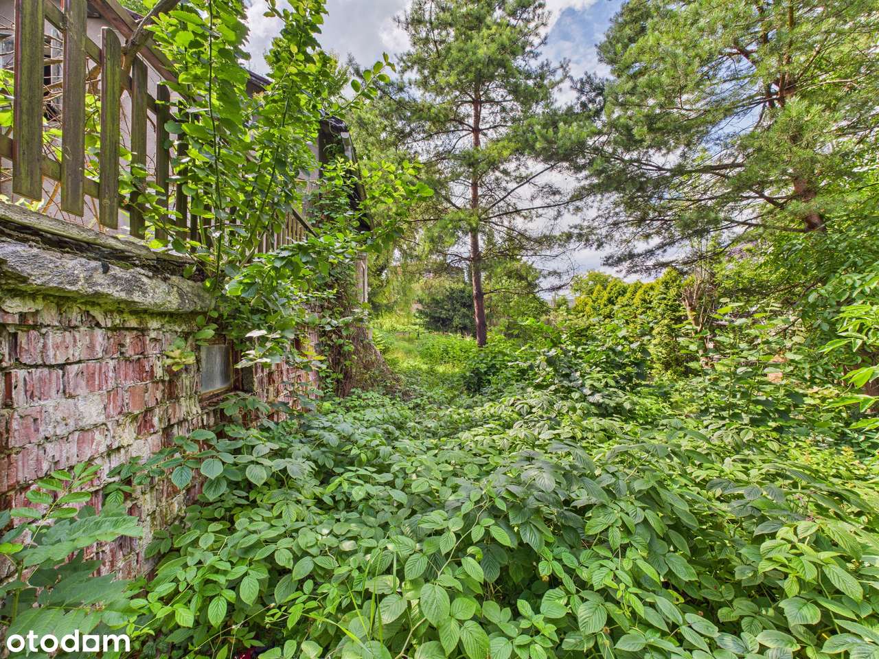 Zielona Działka z Własnym Źródłem i Stawem w Świetnej Lokalizacji!-10