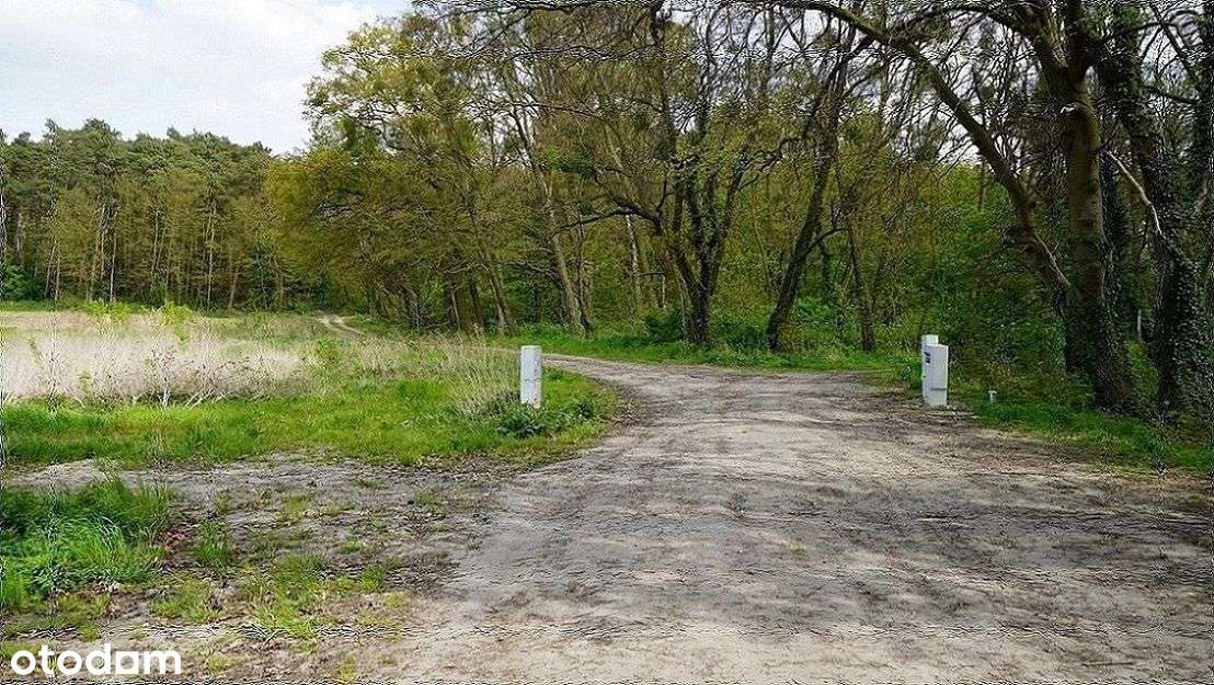 ok.Chrzypsko Wlk.764m2;809m2 lub 1203m2-11