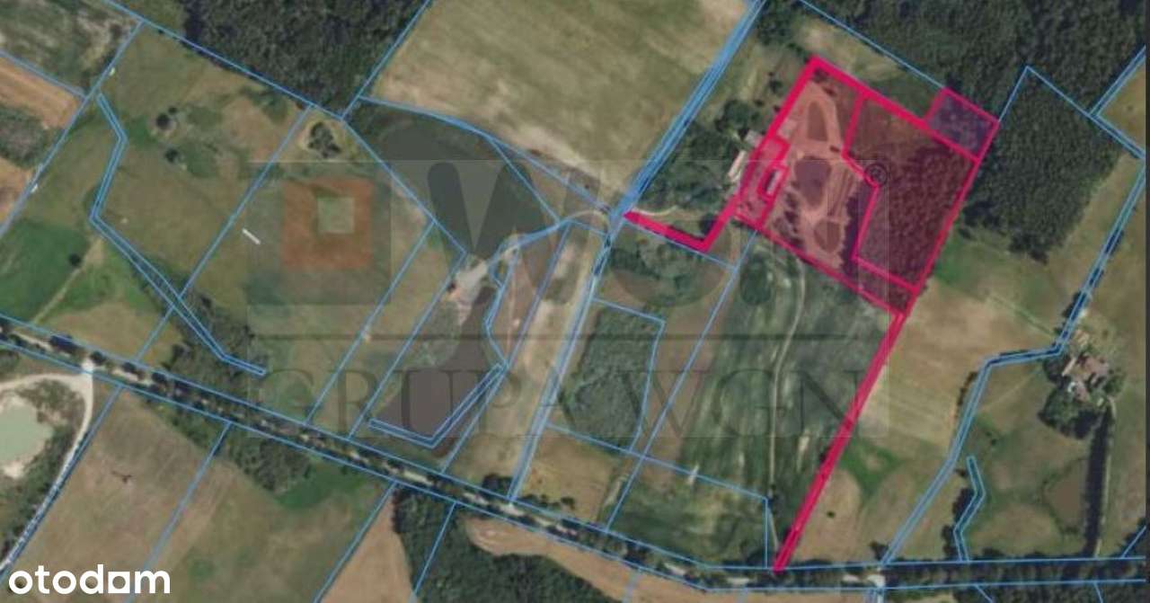 Sprzedam siedlisko, 39565m2. - Pełny obrazek: 4/8