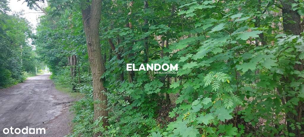 Działka 1900 m2 na poczekanie - Pełny obrazek: 5/8