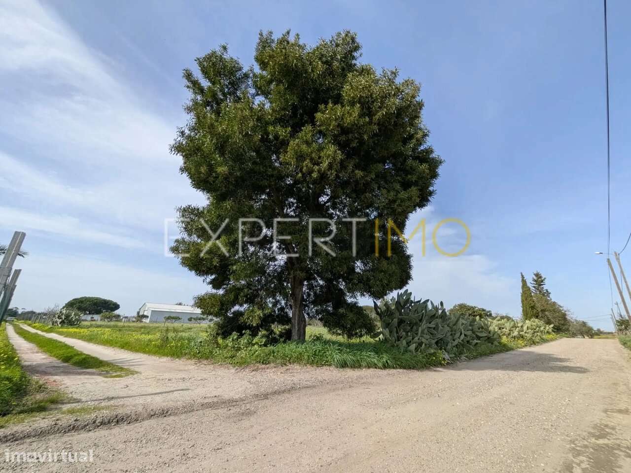 Terreno para construção - Montijo - Grande imagem: 5/8