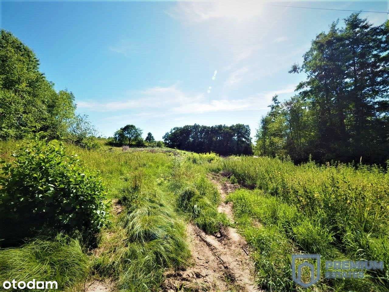 Działka inwestycyjna | 3 Projekty chłonności Pum-5