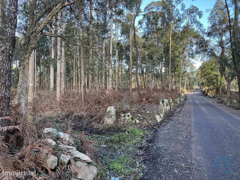 Terreno em Braga de 14027,00 m2