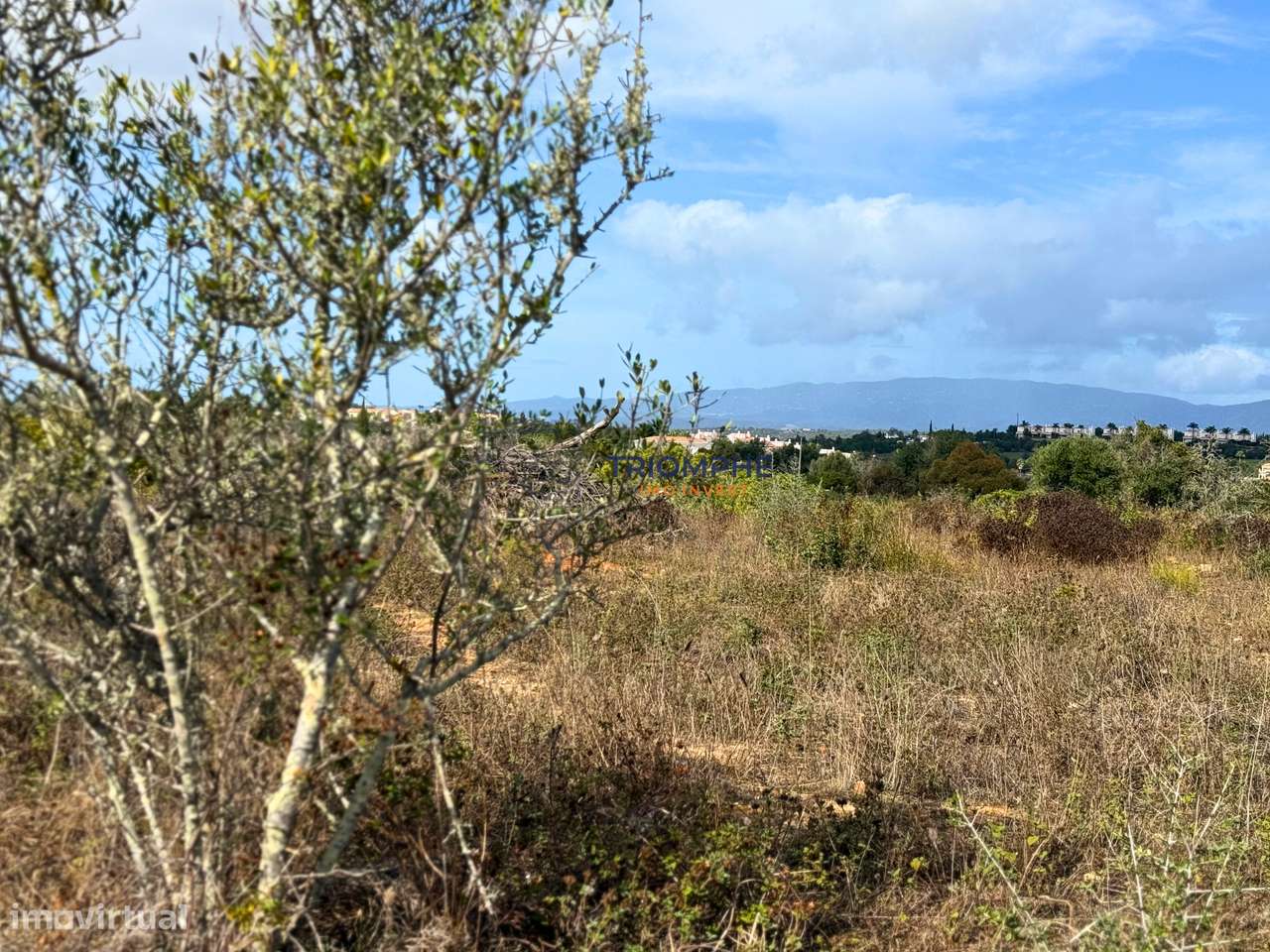 Terreno rústico 15 000 m² Estômbar - Grande imagem: 5/6