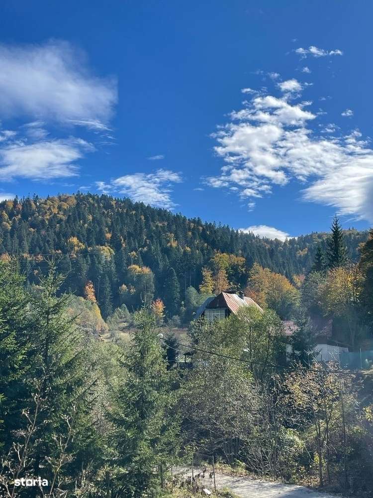 Teren intravilan Predeal - Imagine principală: 3/9