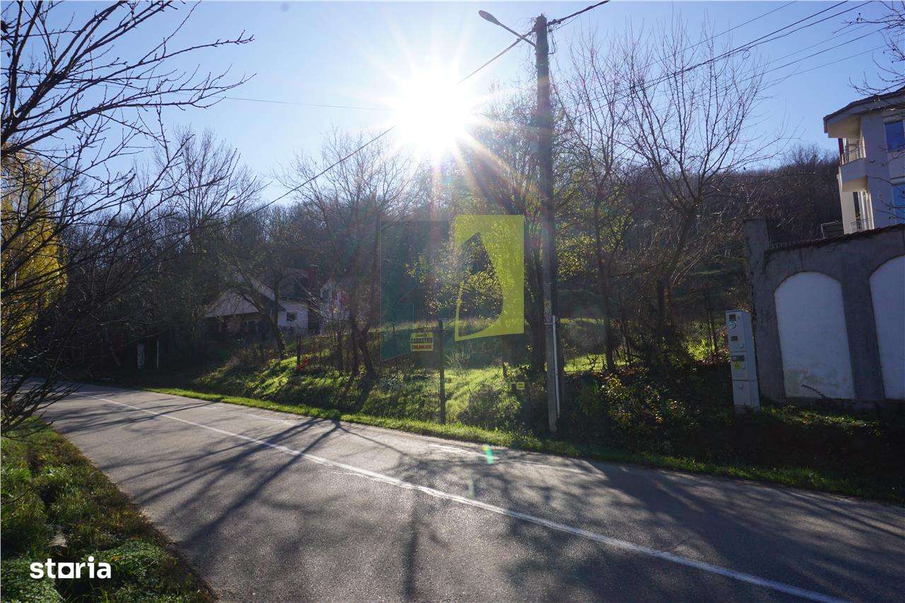 Teren de vanzare in Leamna de Jos-5