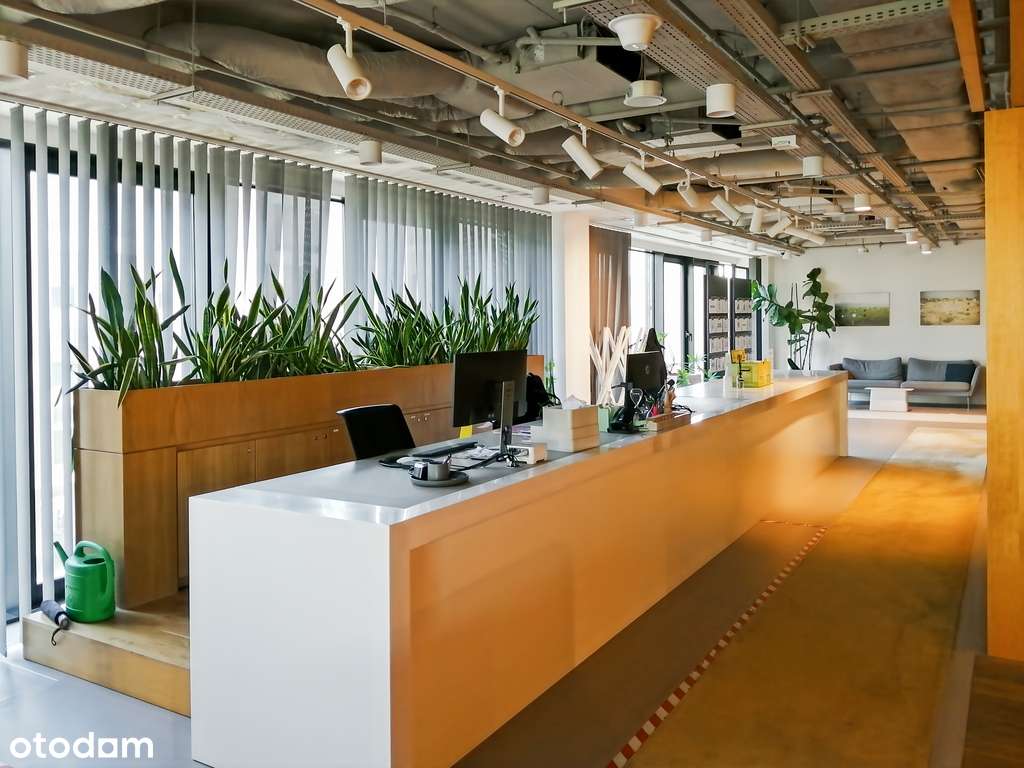 Znajdź powierzchnię biurową na planie otwartym - Pełny obrazek: 3/7