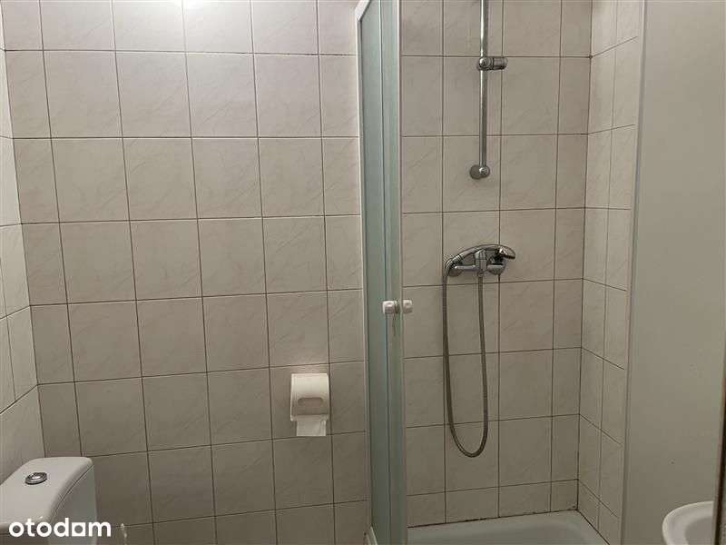 Stysia/2 pokoje/rozkład/niska zabudowa/m.miejskie - Pełny obrazek: 4/5