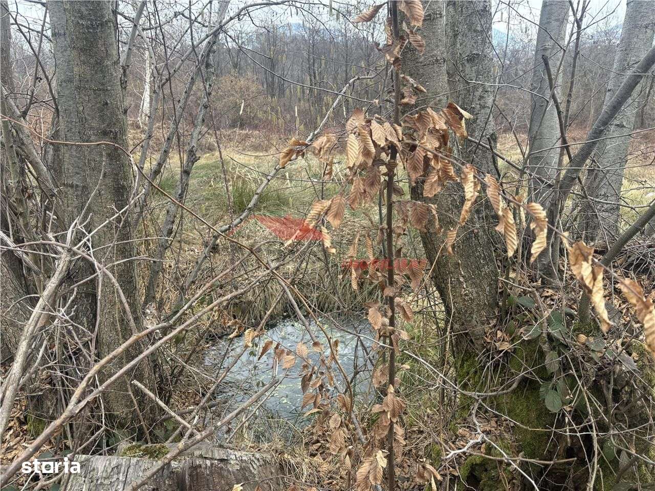 Teren cu 2 izvoare,  Prundul Bargaului - Imagine principală: 4/10