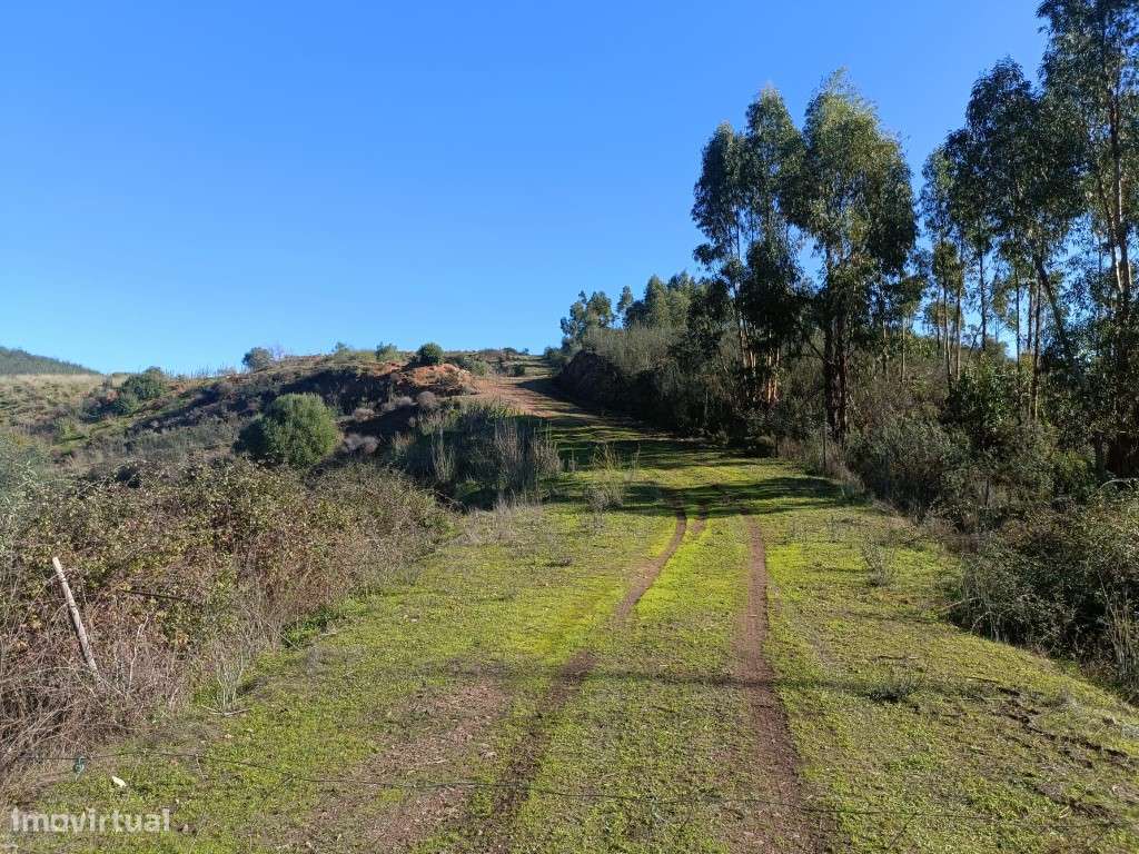 Terreno Rustico no Rasmalho - Grande imagem: 4/11