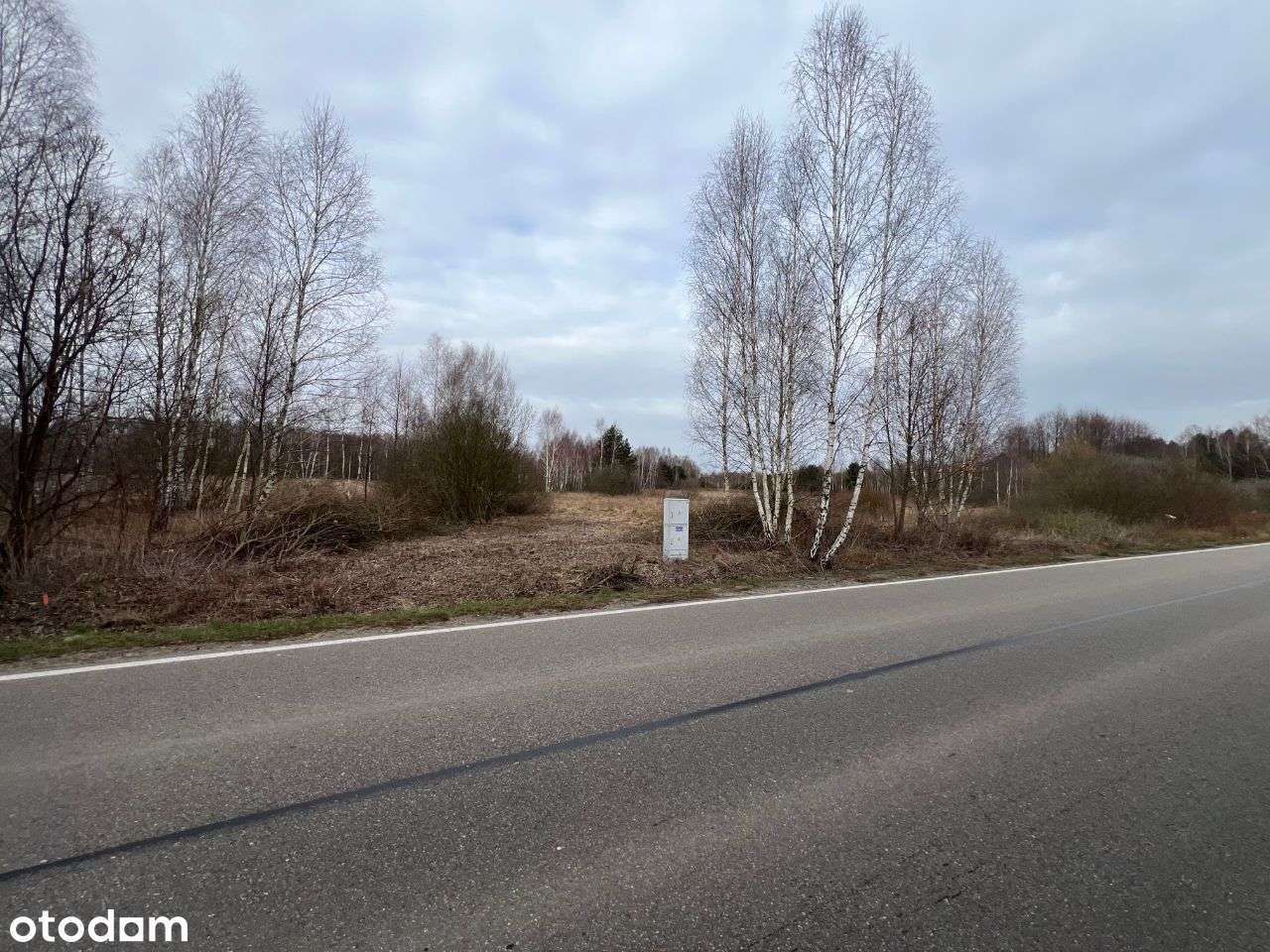 OKAZJA Działki, dostęp do drogi, media, blisko Warszawa 3x3000m2 - Pełny obrazek: 5/7