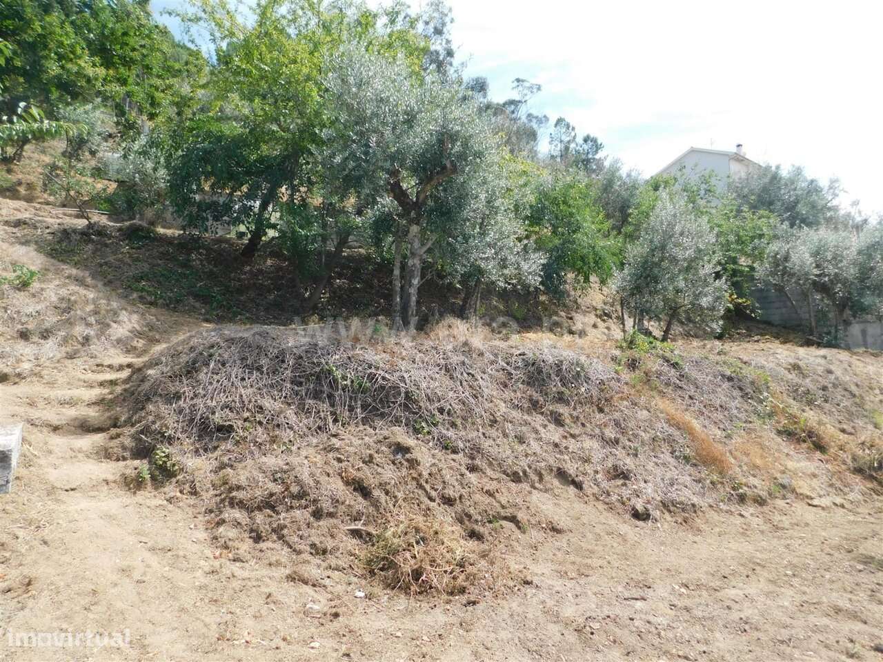 Moradia T2 / Seia, Seia-12