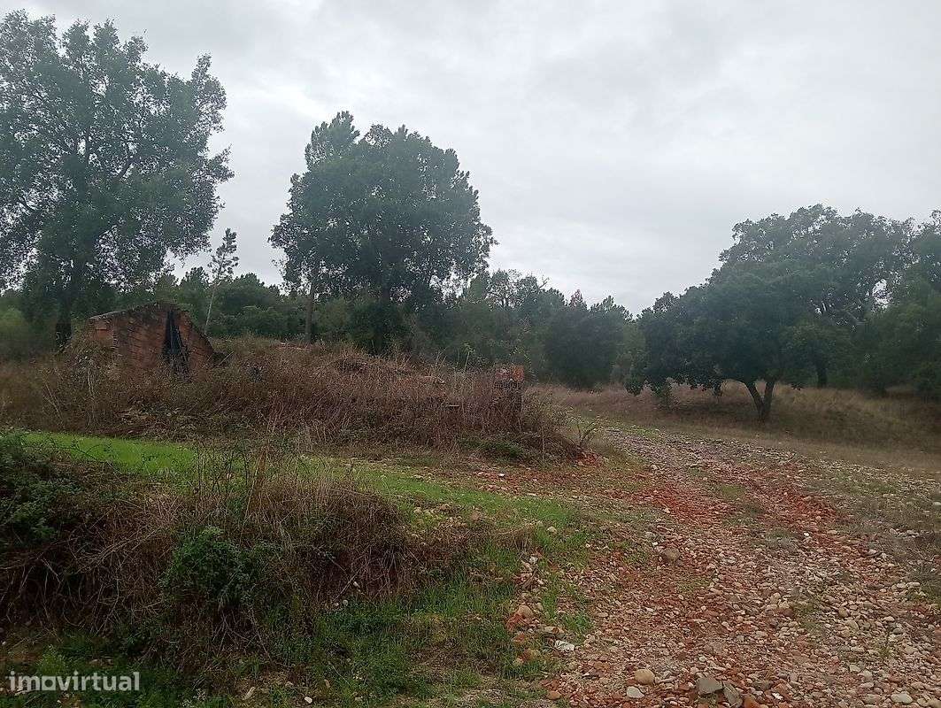 Terreno  para venda - Grande imagem: 4/12