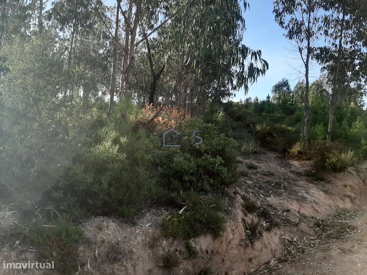 Terreno com Projeto Aprovado para Moradia em Besteiras – Águas Belas-31